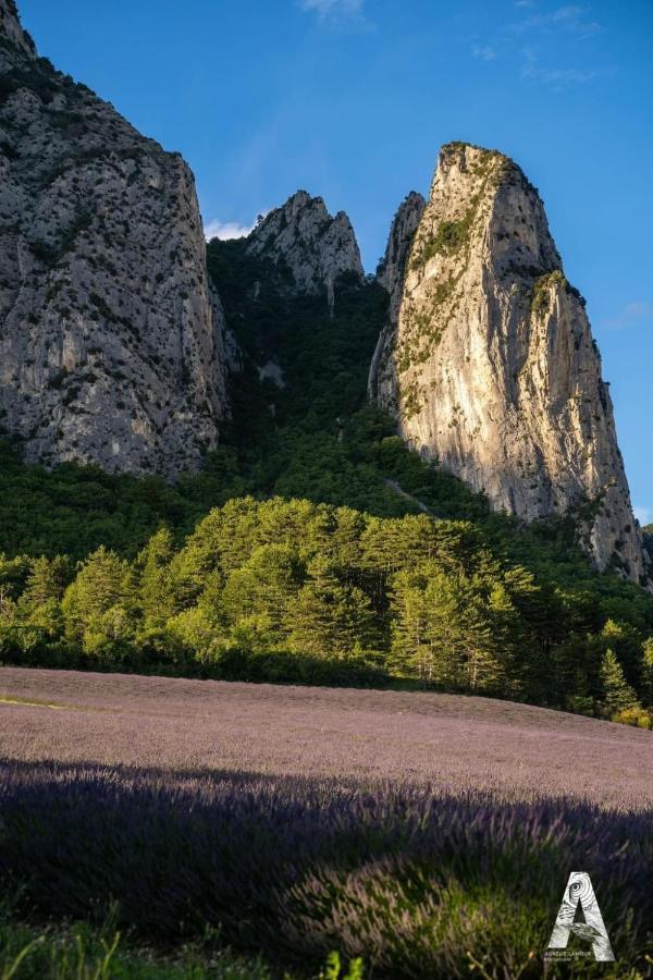 Les Appartements Du Saint Thiers, La Provence Dans Un Coin De La Drome Et L'Esprit D'Une Maison D'Hotes A Saou Exteriör bild